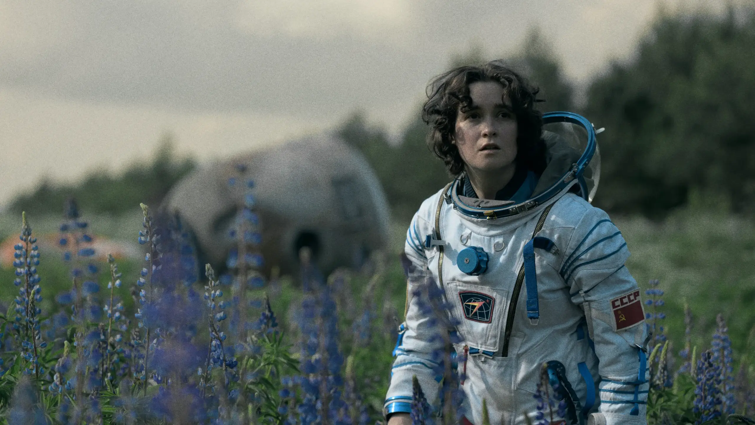 Film & TV Stills